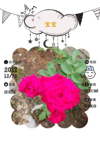 journal_insert_pic_913147090