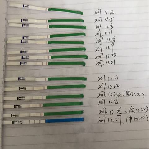 journal_insert_pic_913121395
