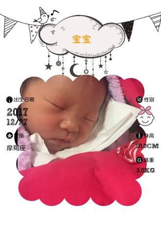 journal_insert_pic_912955896