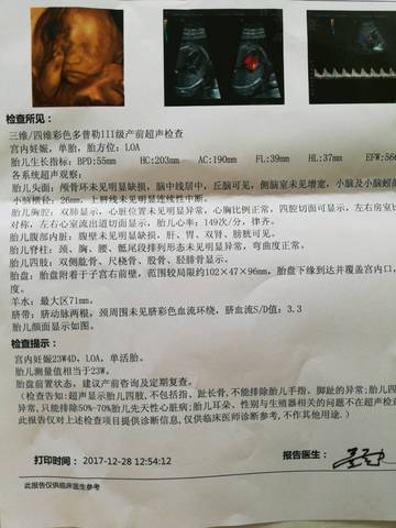 journal_insert_pic_913812295