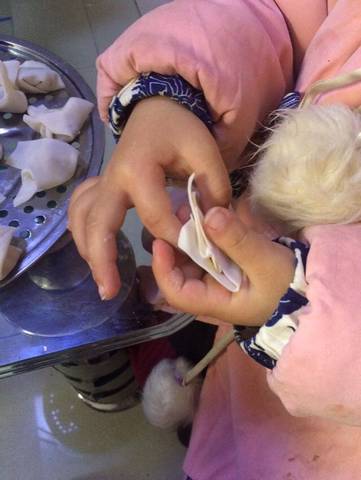 journal_insert_pic_913780606