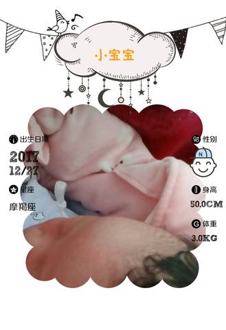 journal_insert_pic_913930301