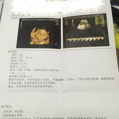 journal_insert_pic_914325427