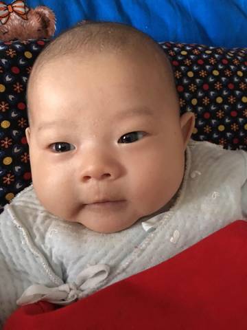 journal_insert_pic_915278574