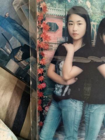 journal_insert_pic_915796169