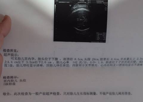 journal_insert_pic_915816388