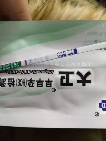 journal_insert_pic_915612847