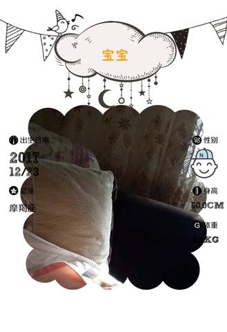 journal_insert_pic_916544078