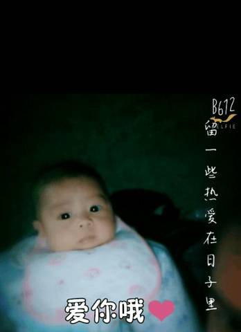 journal_insert_pic_916632942