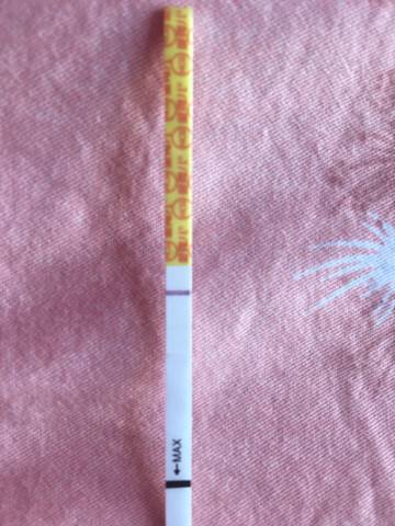 journal_insert_pic_916424453