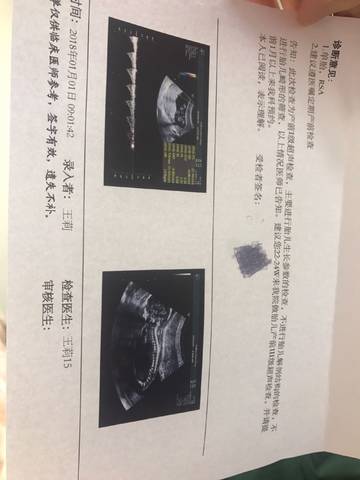 journal_insert_pic_918509765