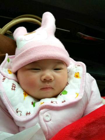journal_insert_pic_918768159