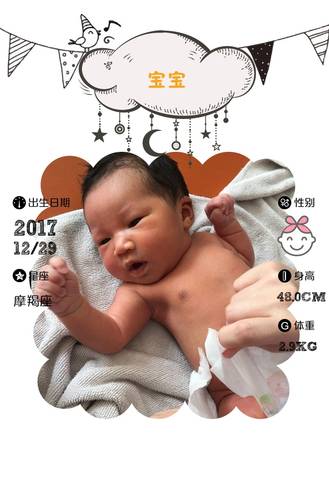 journal_insert_pic_919022341