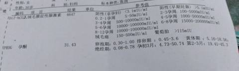 journal_insert_pic_920736253