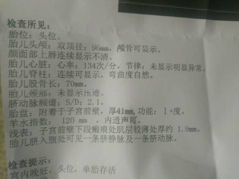 journal_insert_pic_921041287