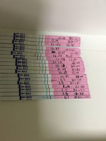 journal_insert_pic_921194634