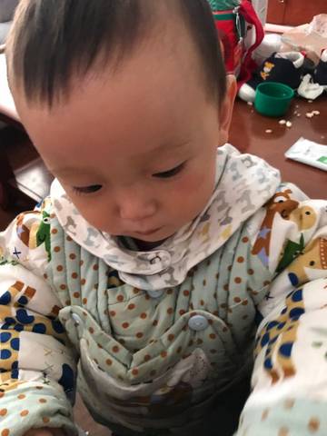 journal_insert_pic_921575658