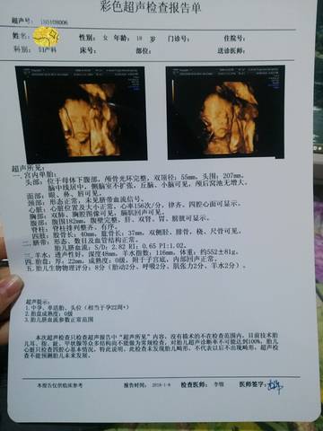 journal_insert_pic_921636005