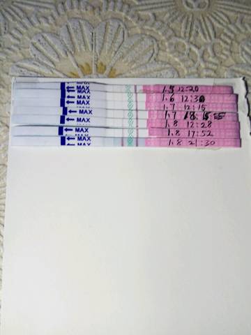 journal_insert_pic_921815401