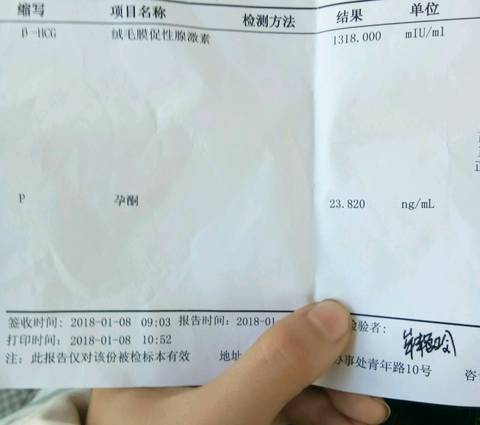 journal_insert_pic_921531644