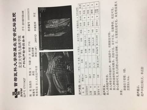 journal_insert_pic_922105671