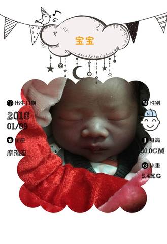 journal_insert_pic_922704754