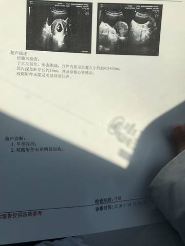 journal_insert_pic_922780207