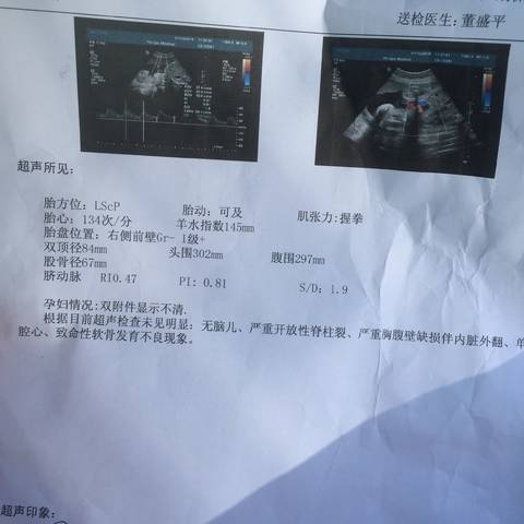 journal_insert_pic_922982302