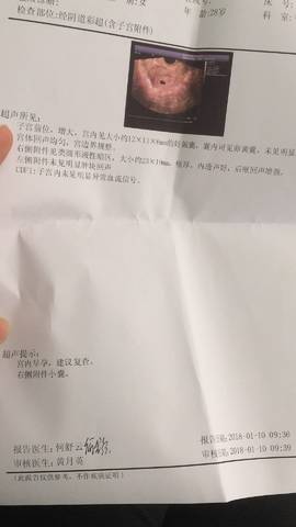 journal_insert_pic_922660725
