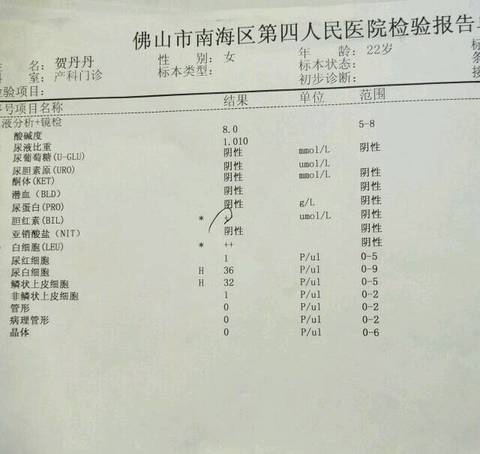 journal_insert_pic_922753736