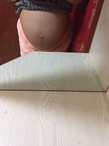 journal_insert_pic_923204005