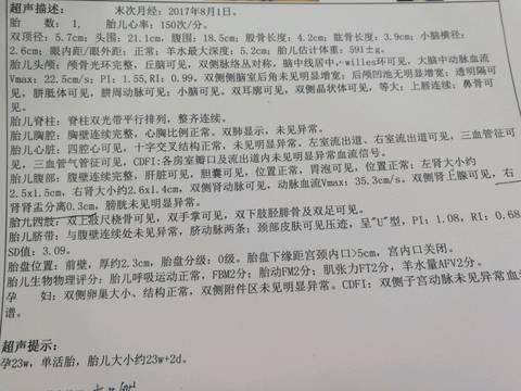 journal_insert_pic_923556511
