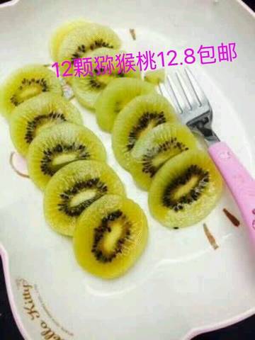journal_insert_pic_923737575