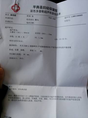 journal_insert_pic_923594101
