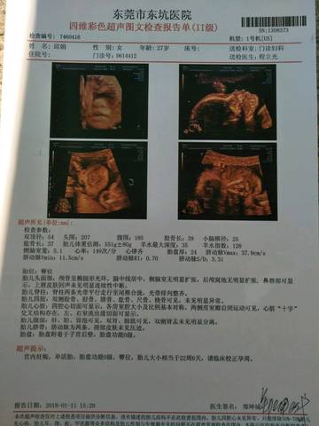 journal_insert_pic_923441142