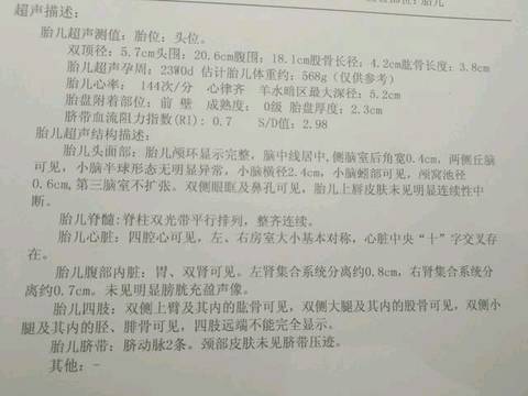 journal_insert_pic_923600710