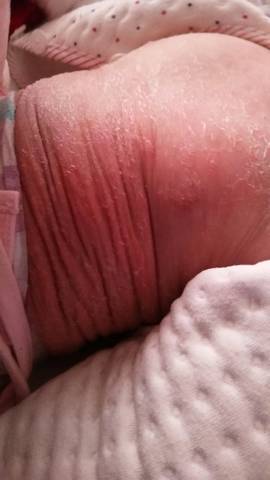 journal_insert_pic_923226609
