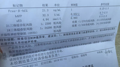 journal_insert_pic_924094648