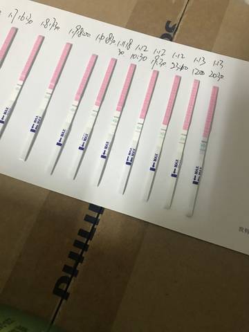 journal_insert_pic_924786309