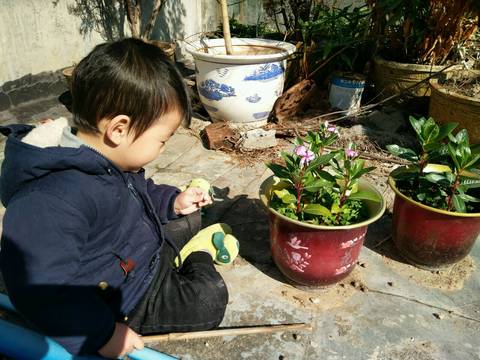 journal_insert_pic_924558083