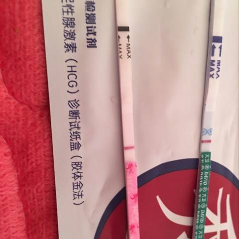 journal_insert_pic_924420133