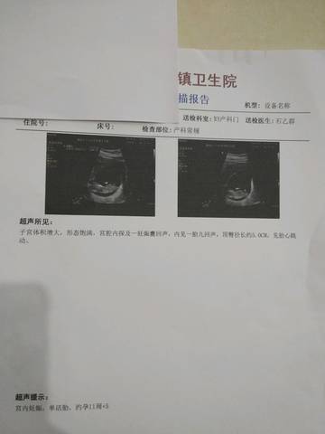 journal_insert_pic_924668068
