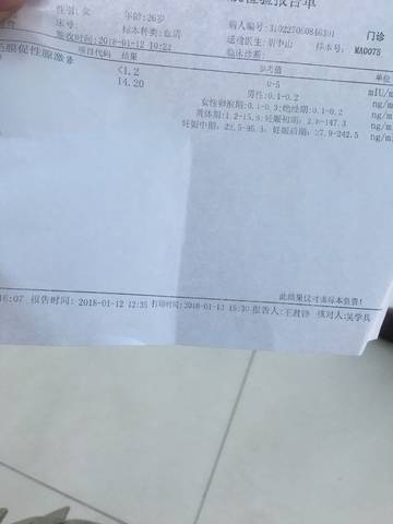 journal_insert_pic_925259947