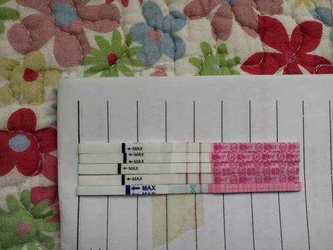 journal_insert_pic_925823091