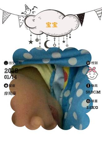 journal_insert_pic_925970240
