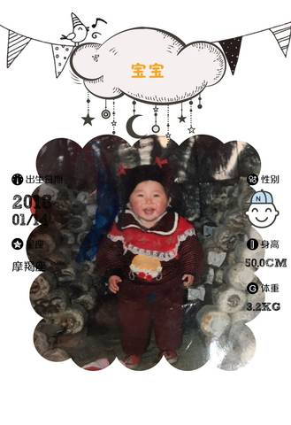 journal_insert_pic_925968085