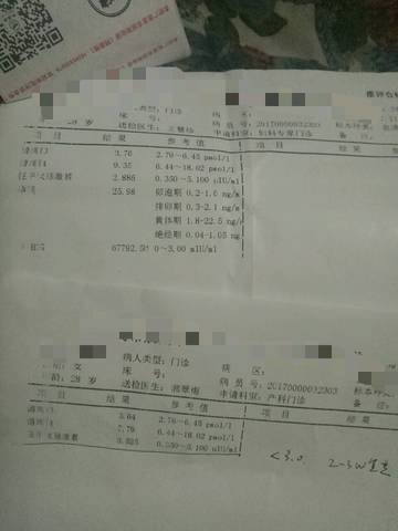 journal_insert_pic_926839573