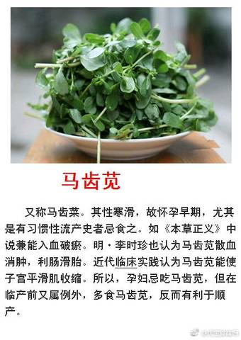 journal_insert_pic_926550543