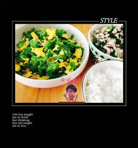journal_insert_pic_928243260