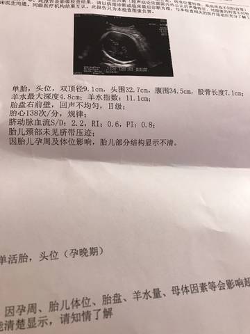 journal_insert_pic_927872876